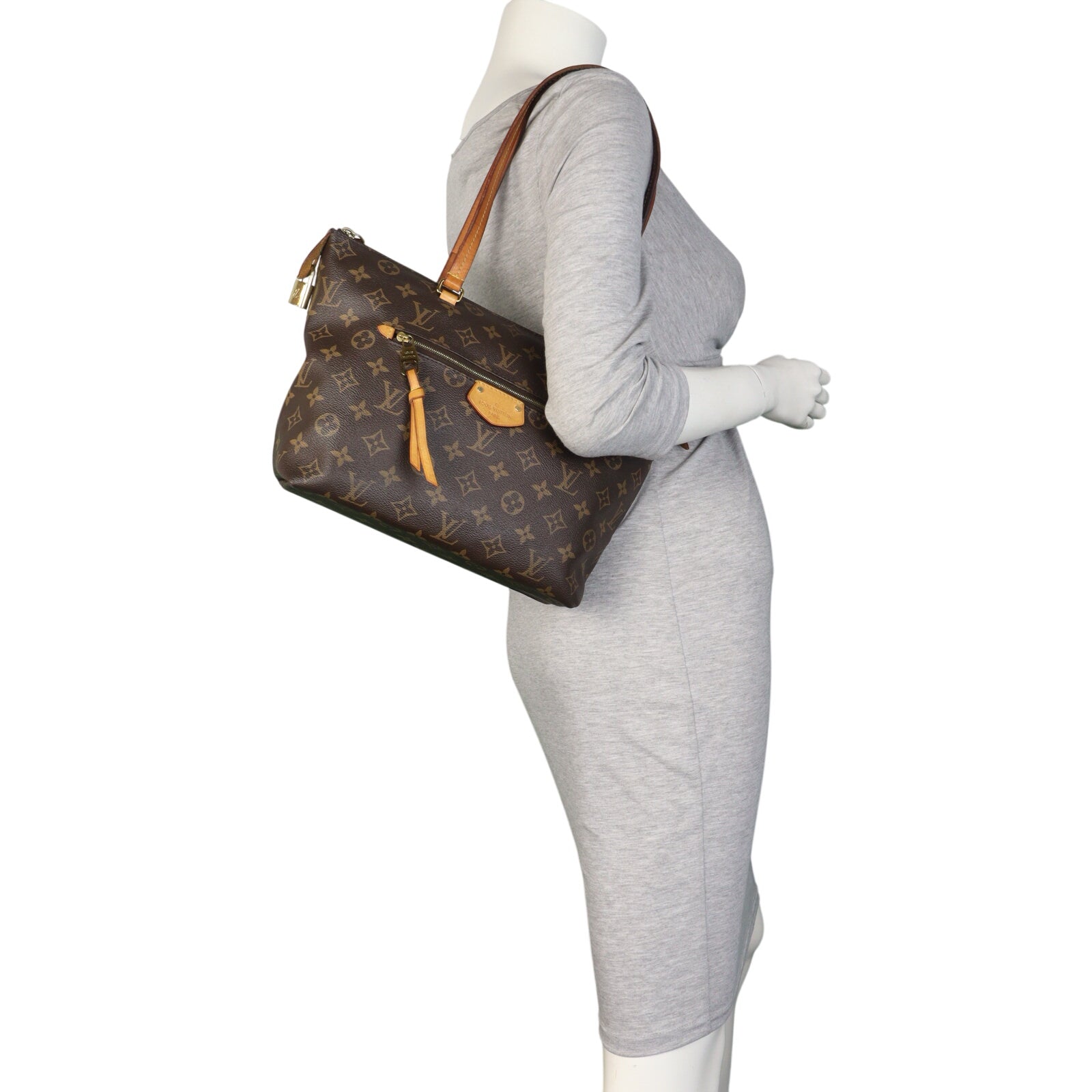 Louis Vuitton Iena PM Monogram