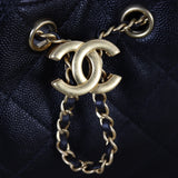 Chanel 25 Hobo Mini