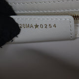 Dior Groove 25 Bag Macrocannage