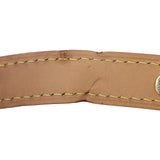 Louis Vuitton Loop PM Monogram