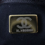 Chanel 25 Hobo Medium