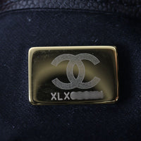 Chanel 25 Hobo Medium