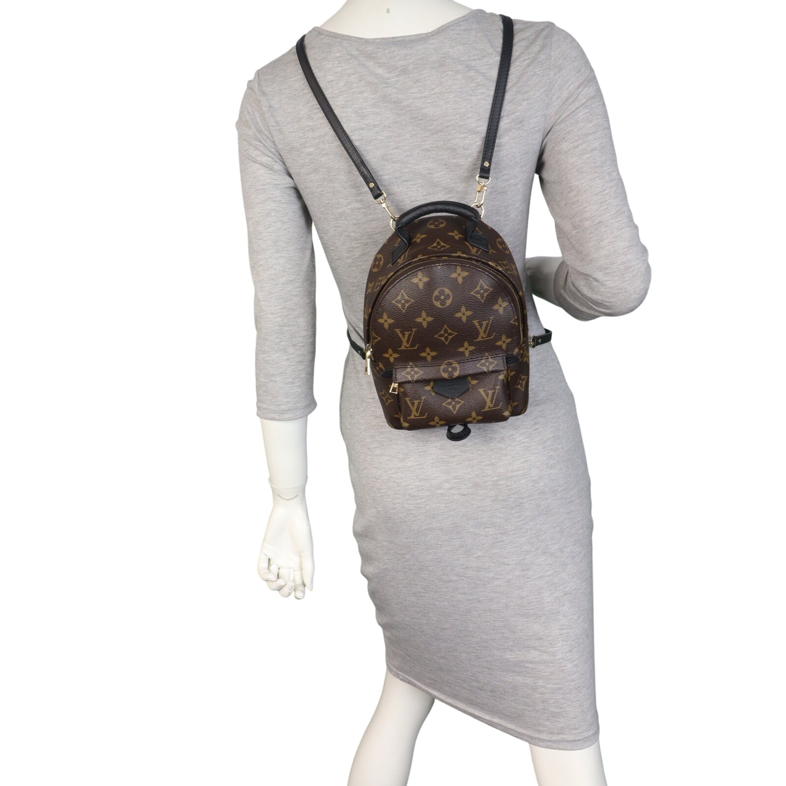 Louis Vuitton Palm Springs Mini Backpack Monogram