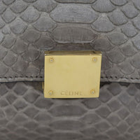 Celine Trapeze Medium Python Hardware
