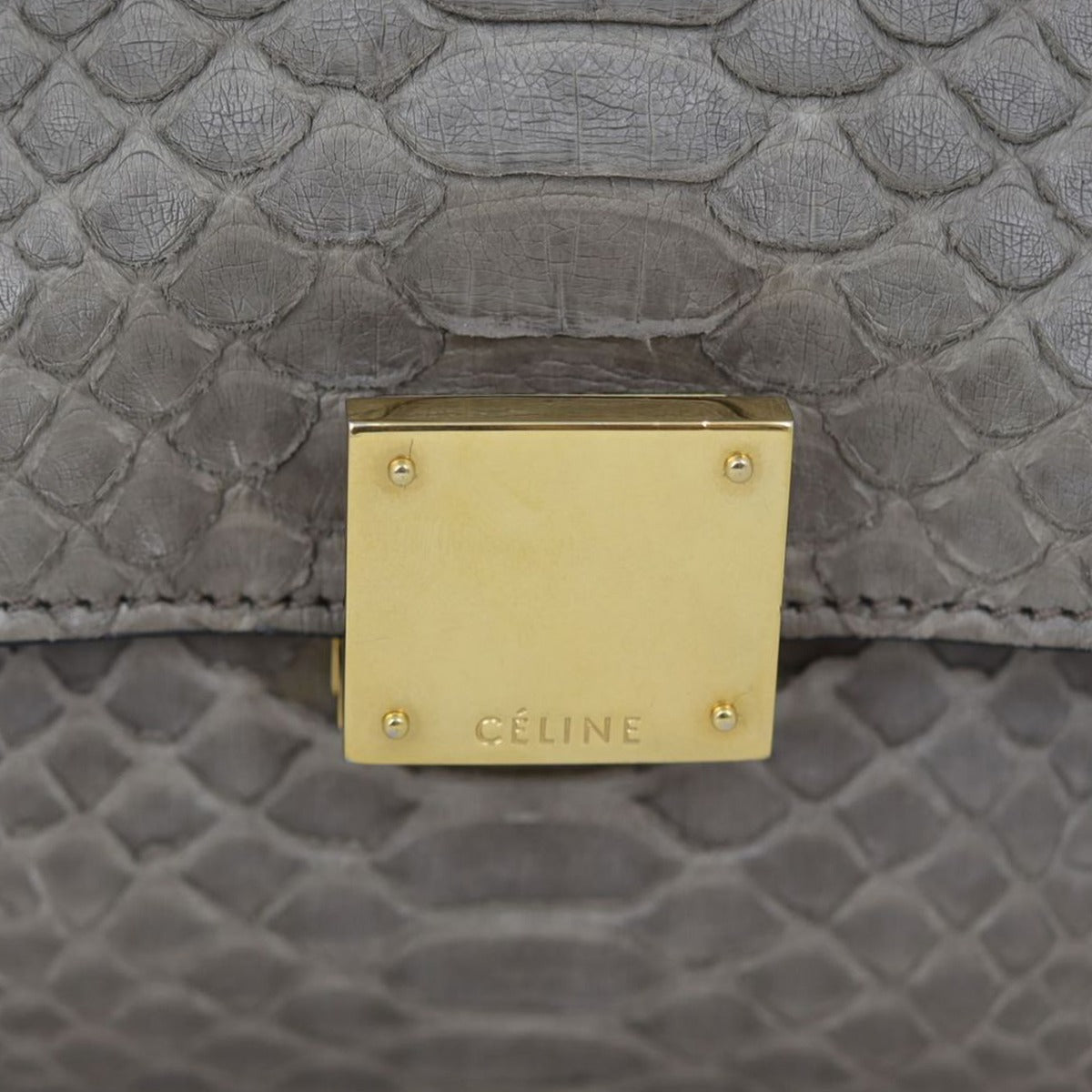 Celine Trapeze Medium Python Hardware
