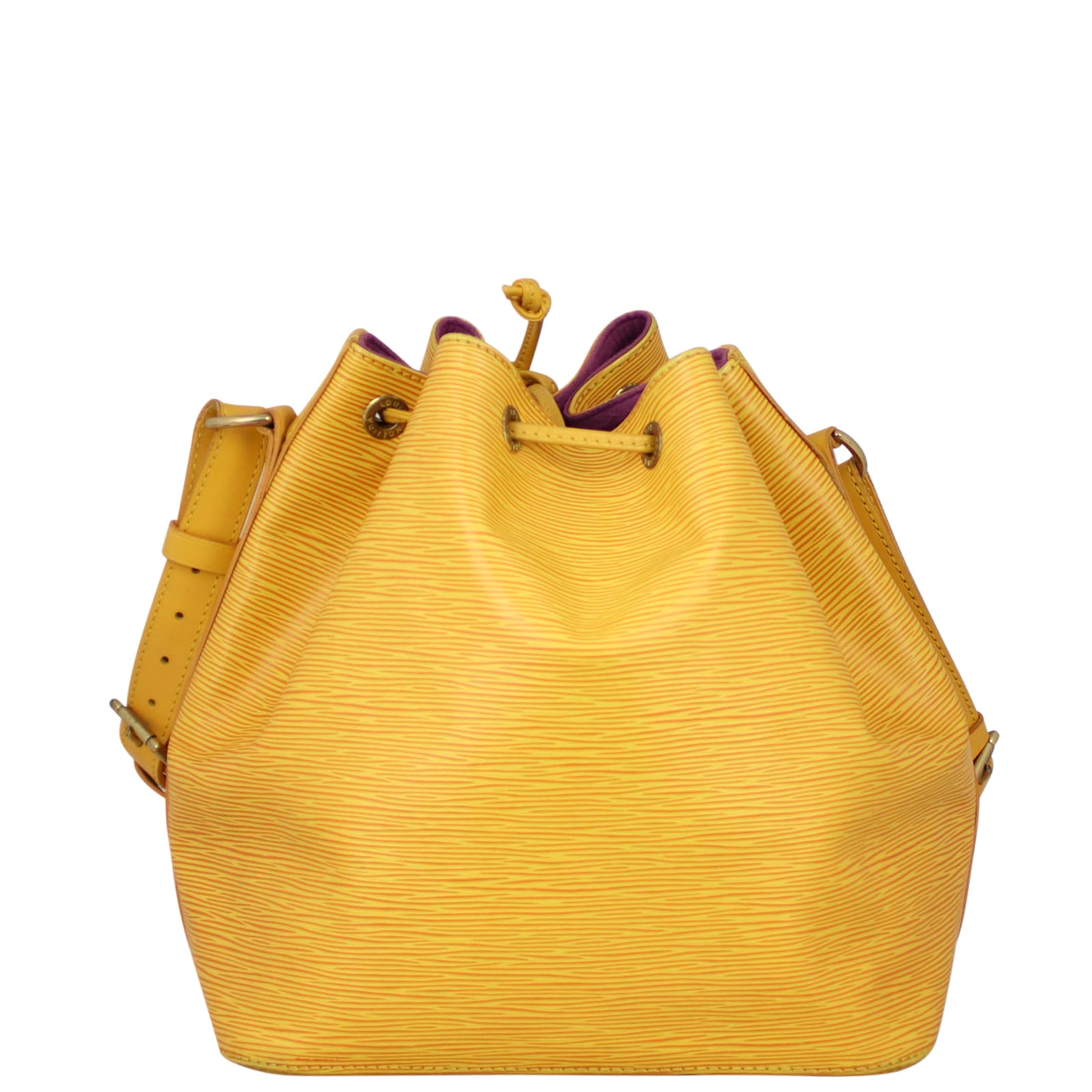 Louis Vuitton Petit Noe Epi Back