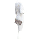 Louis Vuitton Pochette Felicie Monogram Mannequin