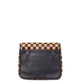 Louis Vuitton Damier Sauvage Gazelle Bag Back