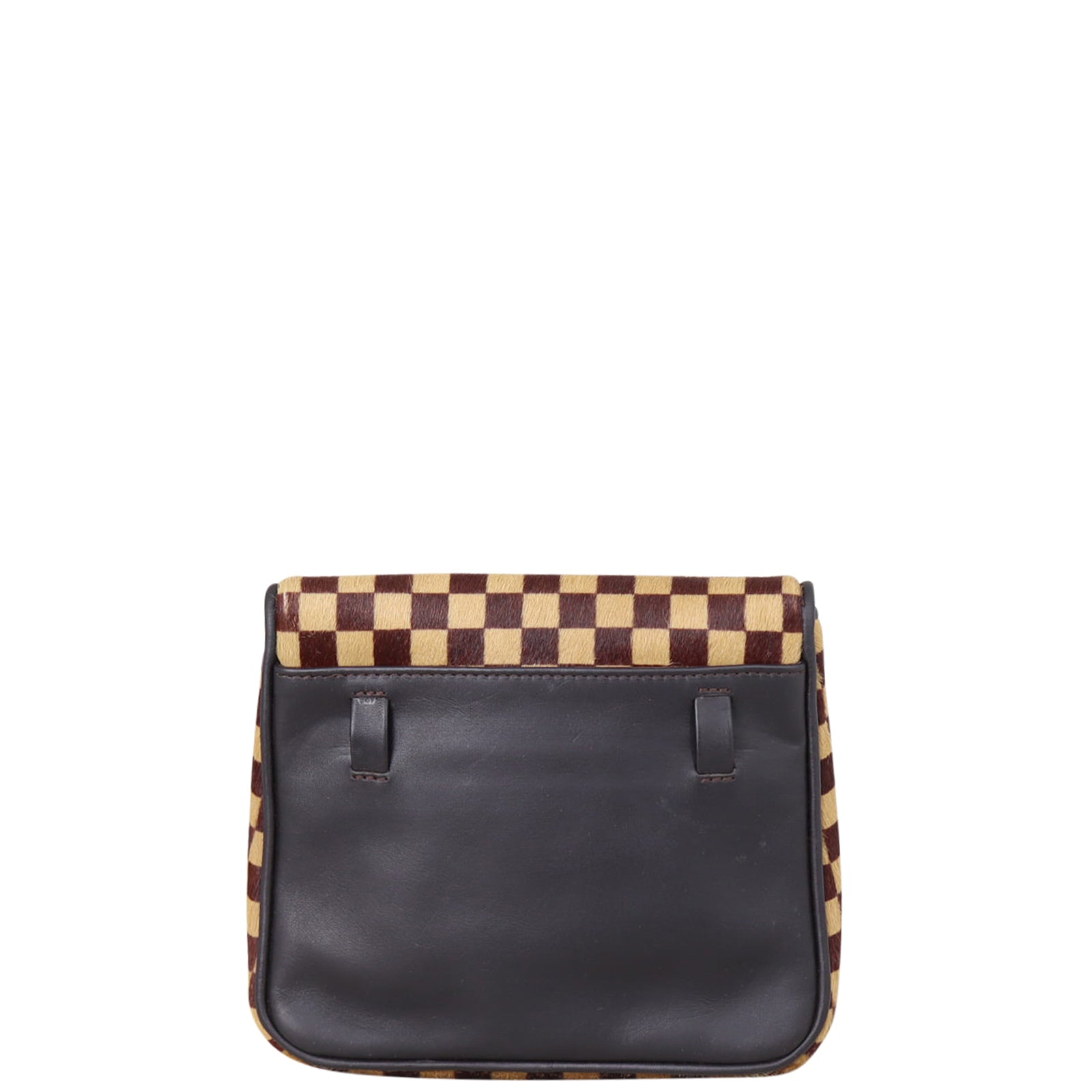 Louis Vuitton Damier Sauvage Gazelle Bag Back