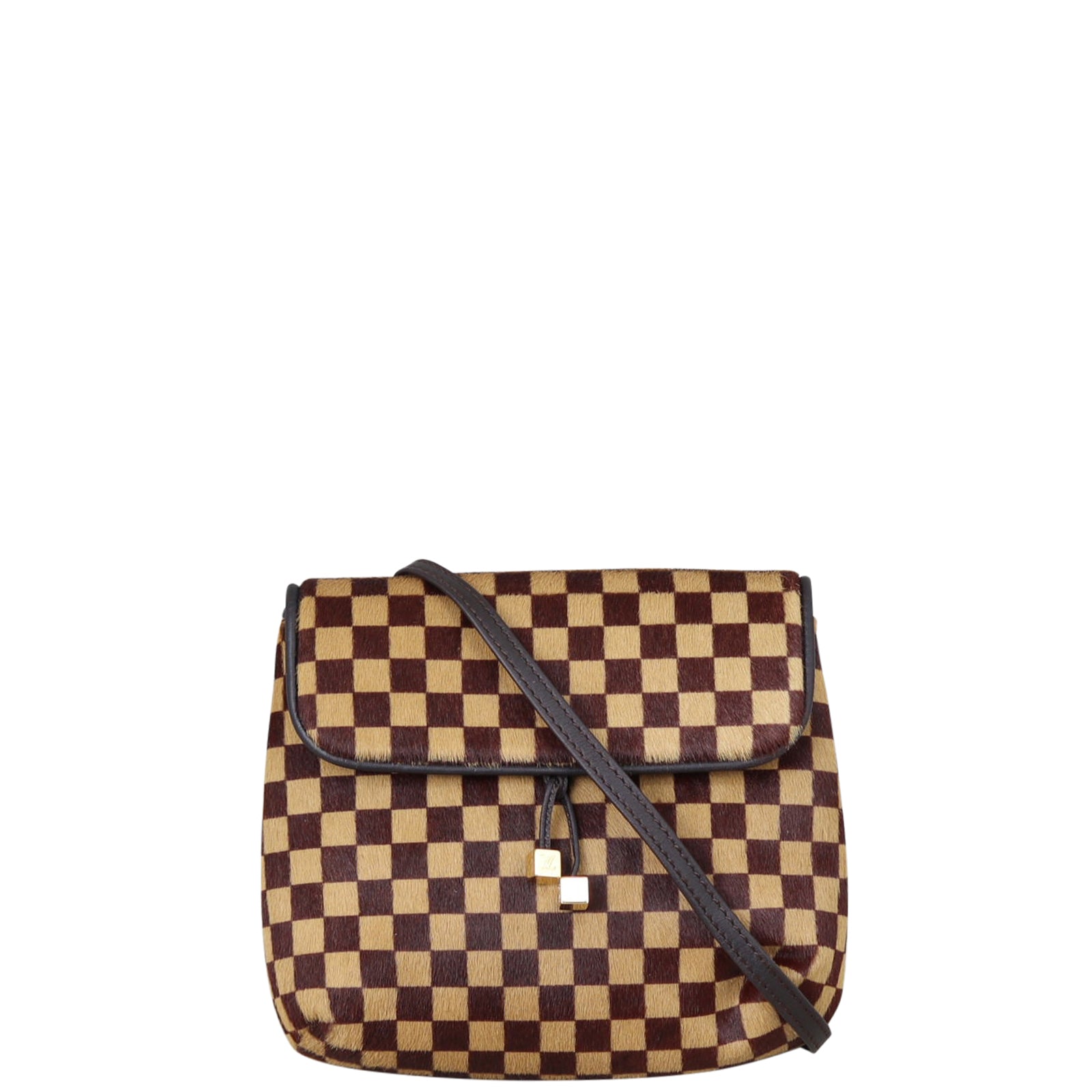 Louis Vuitton Damier Sauvage Gazelle Bag Front