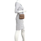 Louis Vuitton Damier Sauvage Gazelle Bag Mannequin