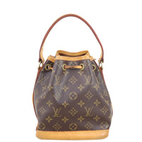 Louis Vuitton Noé BB Monogram Back