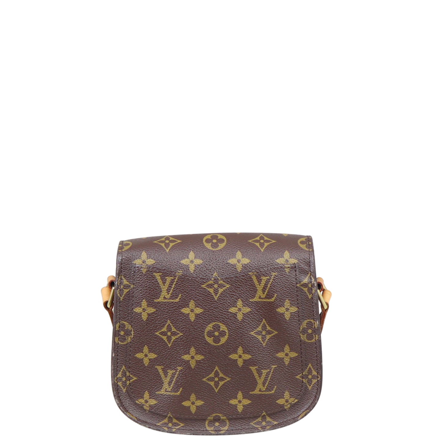 Louis Vuitton St. Cloud PM Monogram Back