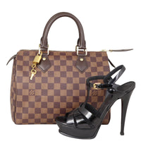 Louis Vuitton Speedy 25 Damier Ebene Shoe



