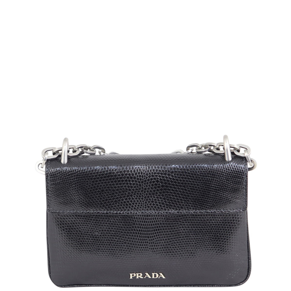 Prada Lucertola Lizard Chain Flap Bag Back

