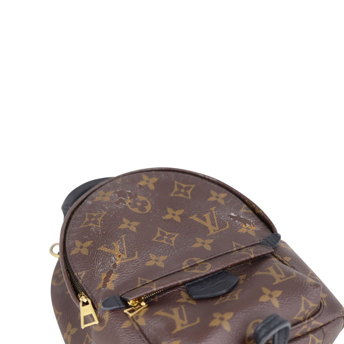 Louis Vuitton Palm Springs Mini Backpack