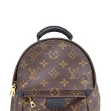 Louis Vuitton Palm Springs Mini Backpack