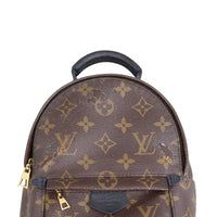 Louis Vuitton Palm Springs Mini Backpack