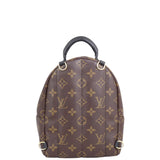 Louis Vuitton Palm Springs Mini Backpack Back
