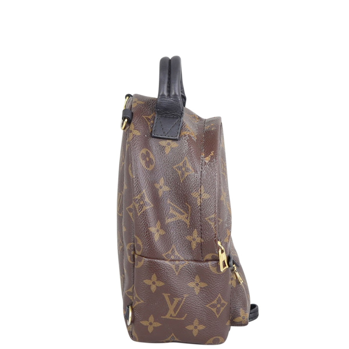 Louis Vuitton Palm Springs Mini Backpack Side
