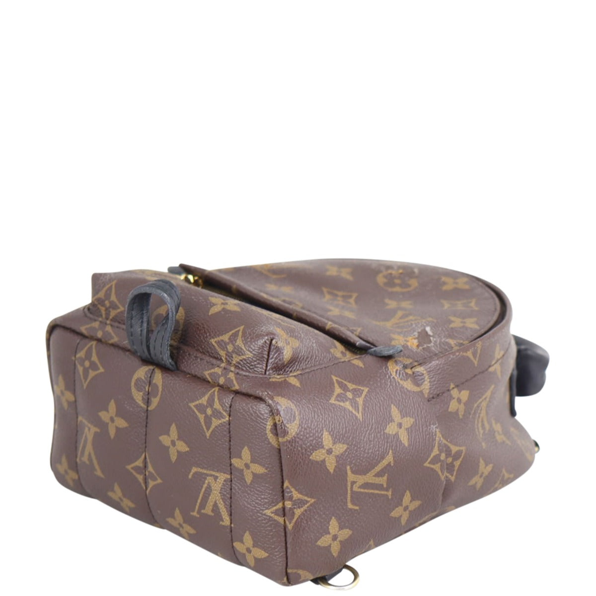 Louis Vuitton Palm Springs Mini Backpack Corner
