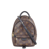 Louis Vuitton Palm Springs Mini Backpack Front
