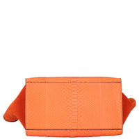 Celine Trapeze Medium Python Base
