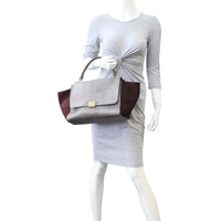 Celine Trapeze Medium Python Mannequin
