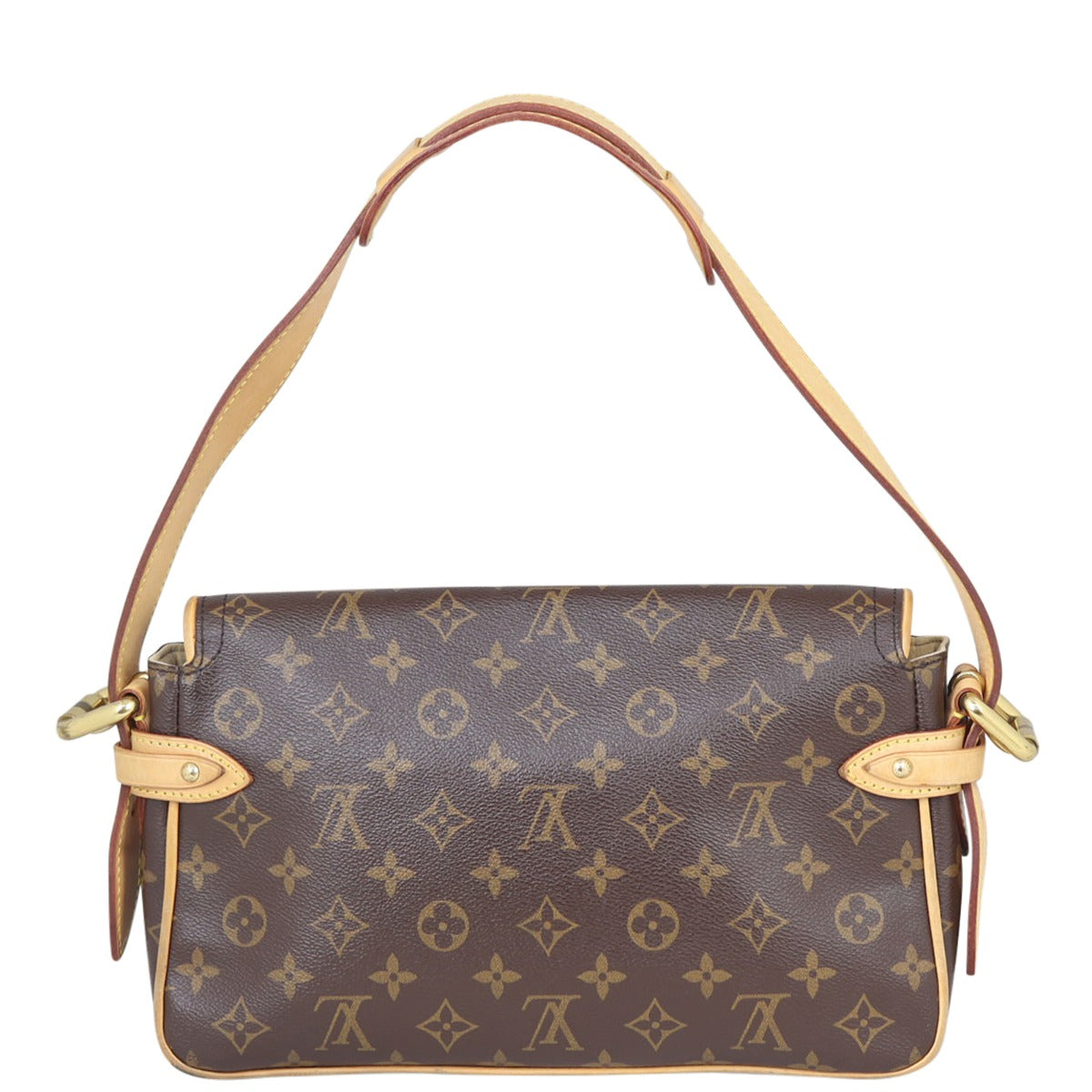 Louis Vuitton Hudson PM Monogram Back
