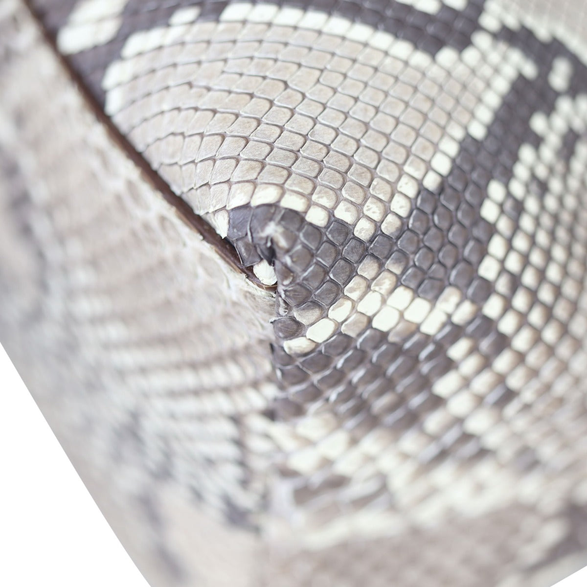 Prada Python Logo Hobo Corner

