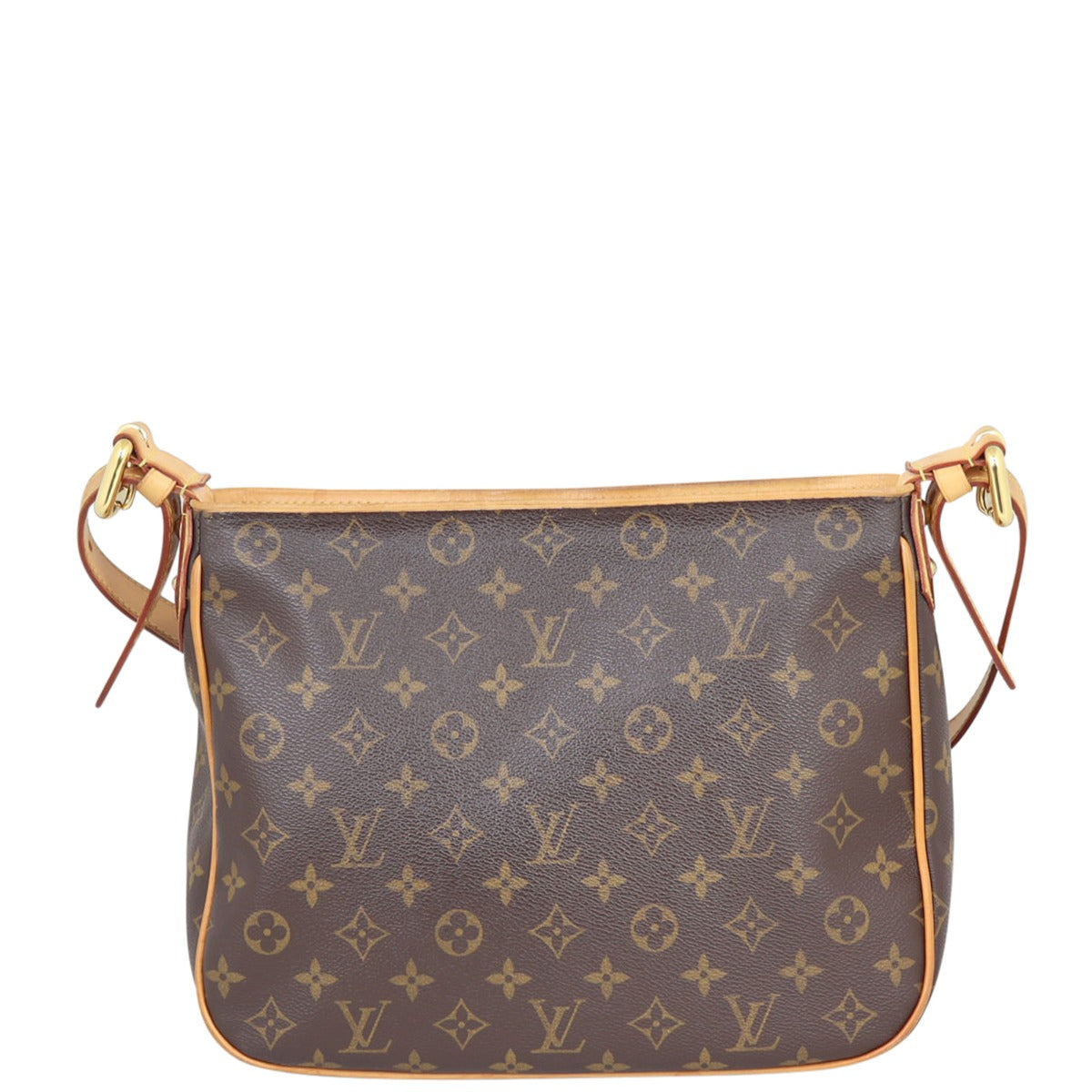 Louis Vuitton Hudson GM Monogram Back

