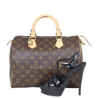 Louis Vuitton Speedy 30 Monogram Shoe
