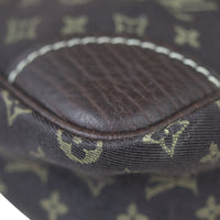 Louis Vuitton Danube Crossbody Mini Lin Corner
