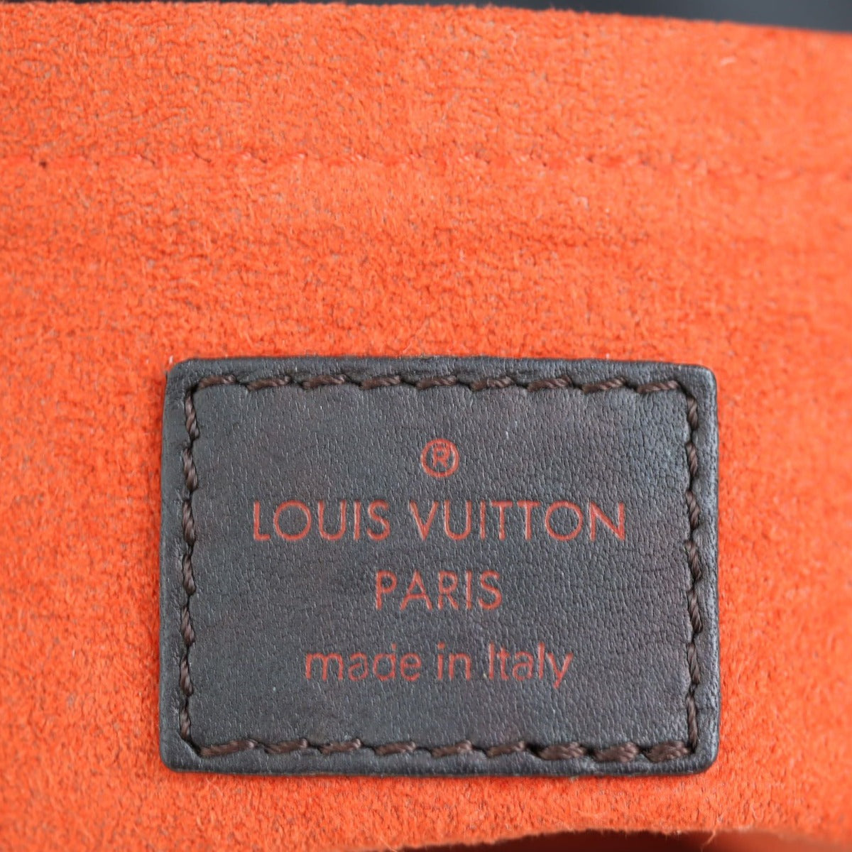 Louis Vuitton Damier Sauvage Calf Hair Lionne Stamp
