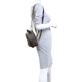 Louis Vuitton Palm Springs Mini Backpack Monogram Mannequin
