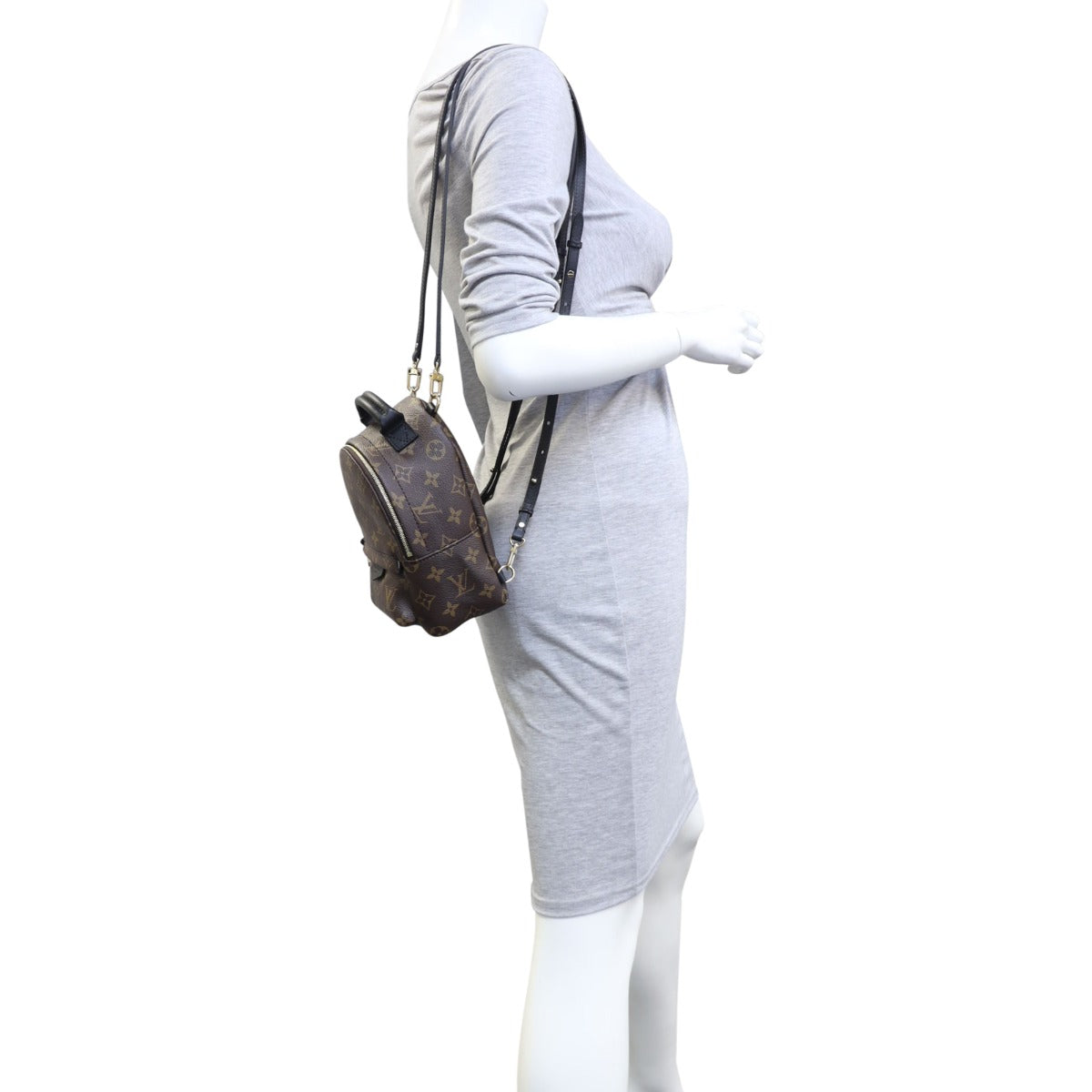 Louis Vuitton Palm Springs Mini Backpack Monogram Mannequin
