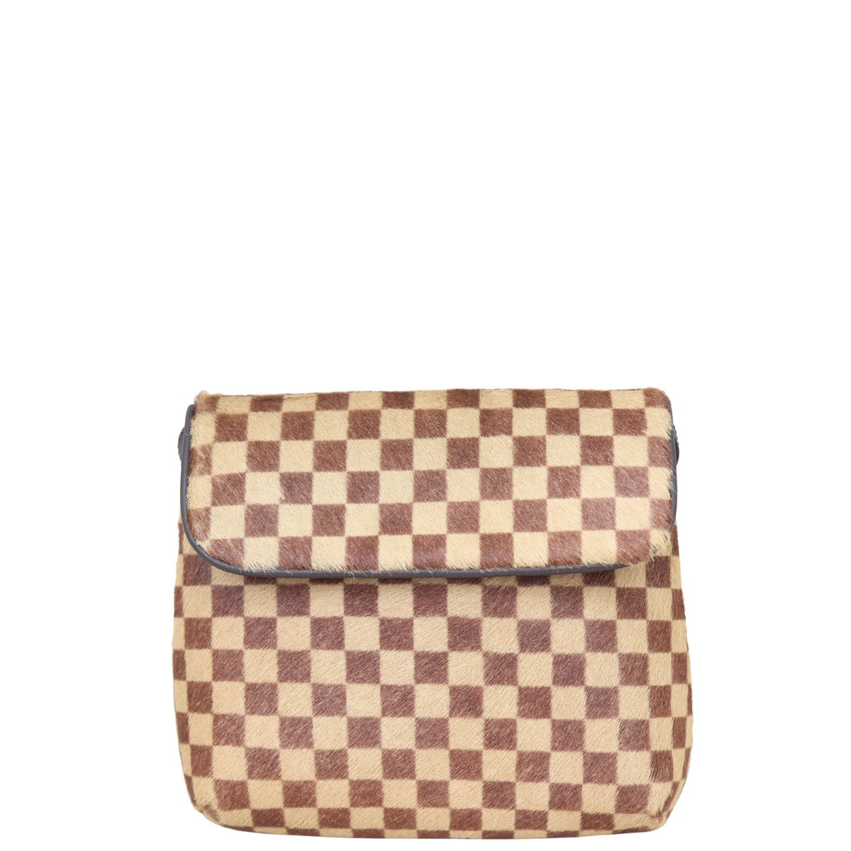 Louis Vuitton Damier Sauvage Gazelle Bag Front
