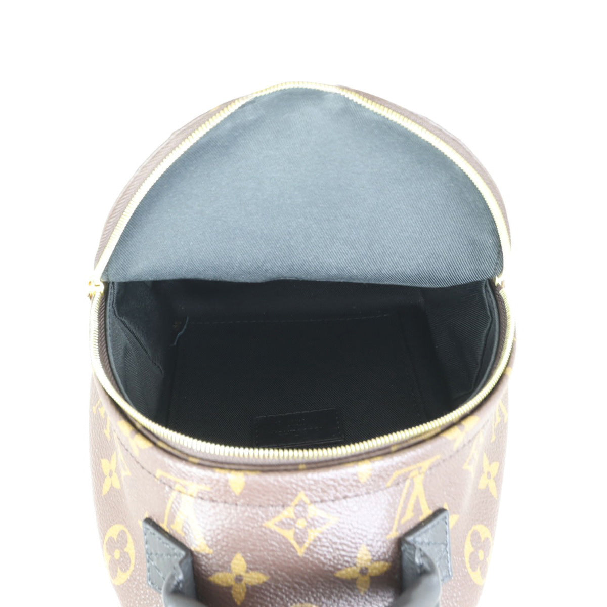 Louis Vuitton Palm Springs Mini Backpack Monogram Whole interior