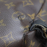 Louis Vuitton Palm Springs Backpack PM Monogram