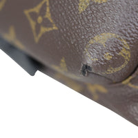 Louis Vuitton Palm Springs Backpack PM Monogram