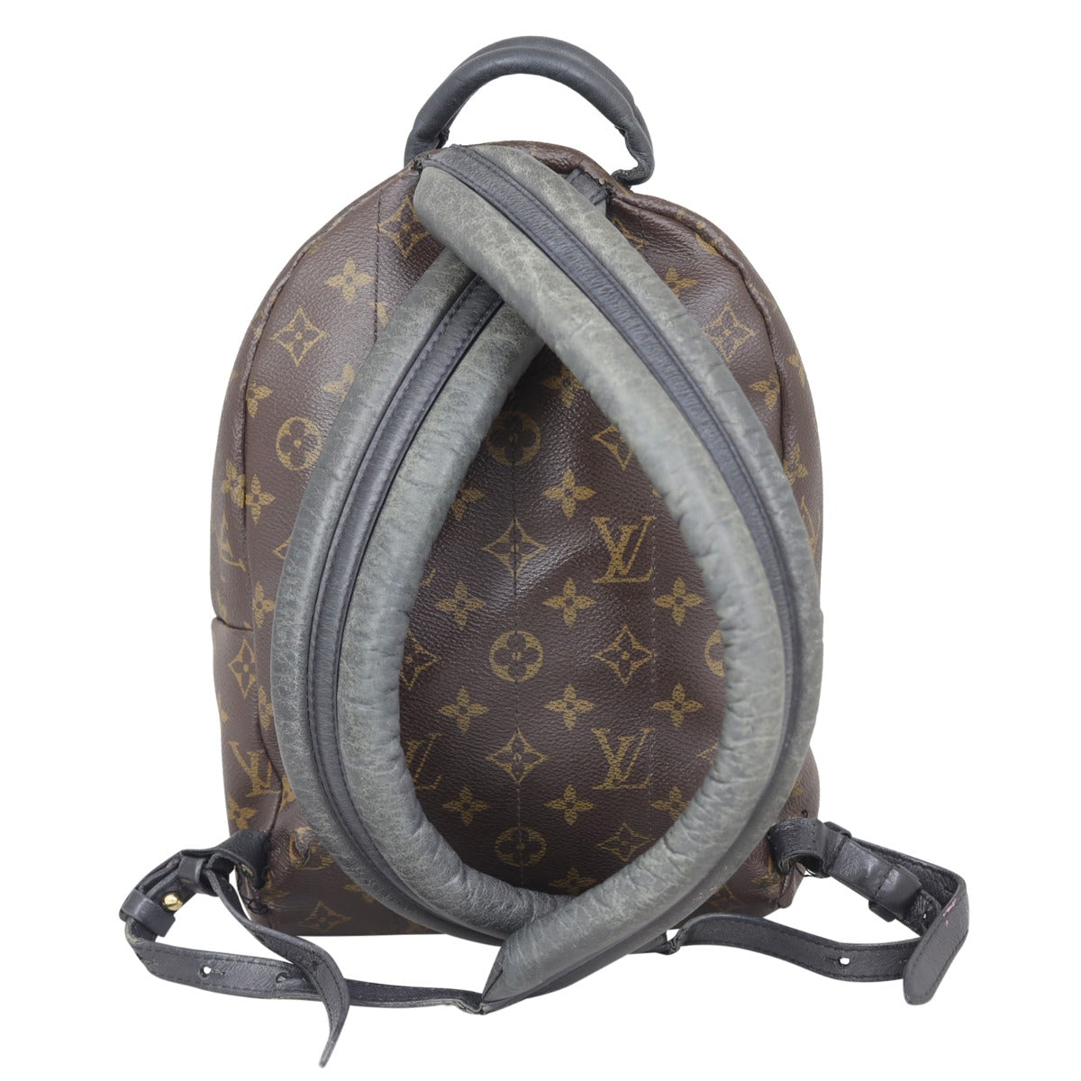 Louis Vuitton Palm Springs Backpack PM Monogram Back

