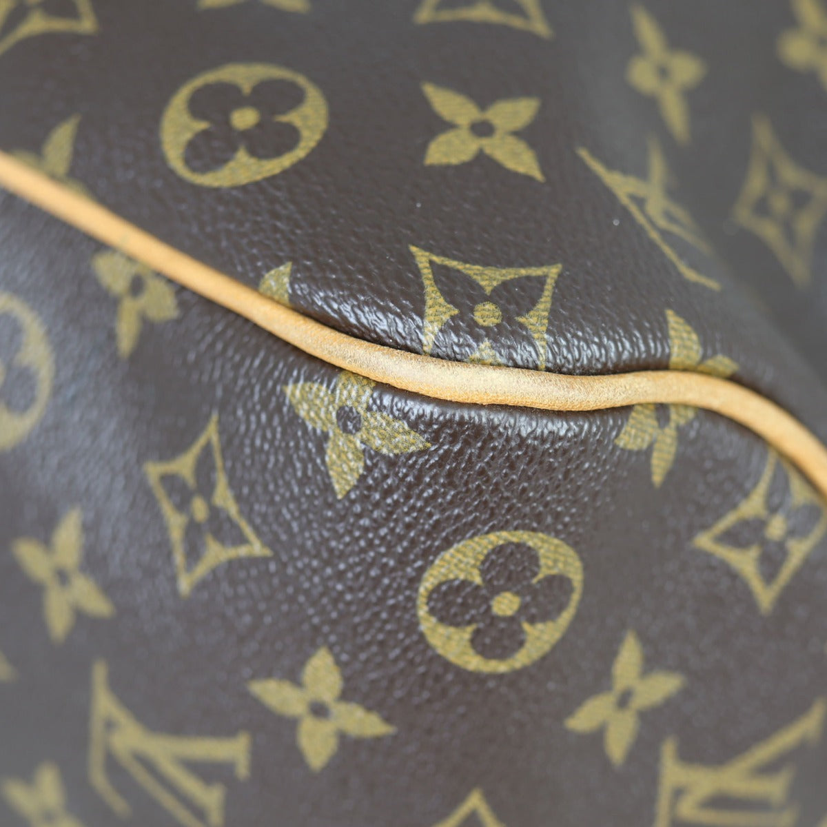 Louis Vuitton Delightful PM Monogram Corner
