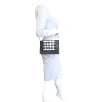 Celine Frame Evening Clutch on Chain Mannequin
