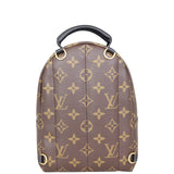 Louis Vuitton Palm Springs Mini Backpack Monogram Back
