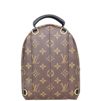 Louis Vuitton Palm Springs Mini Backpack Monogram Back
