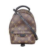 Louis Vuitton Palm Springs Mini Backpack Monogram Front
