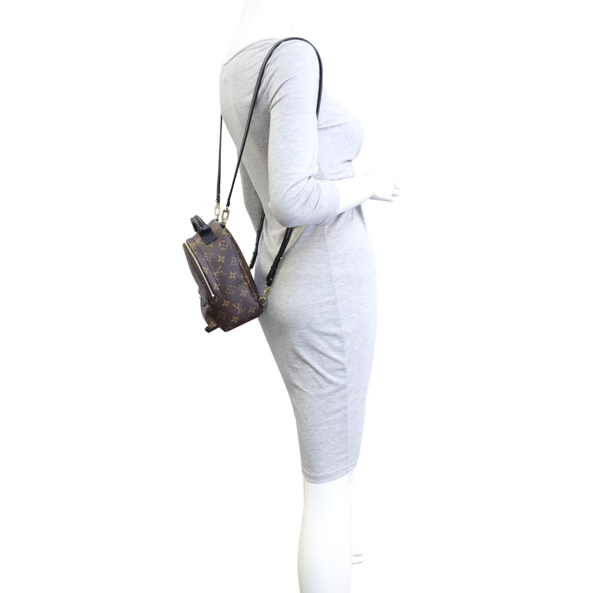 Louis Vuitton Palm Springs Mini Backpack Monogram Mannequin
