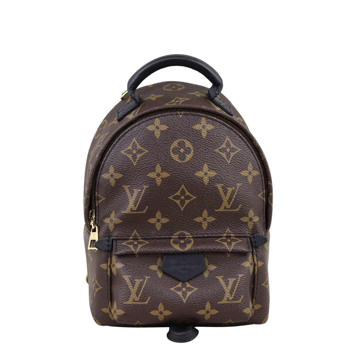 Louis Vuitton Palm Springs Mini Backpack Monogram Front