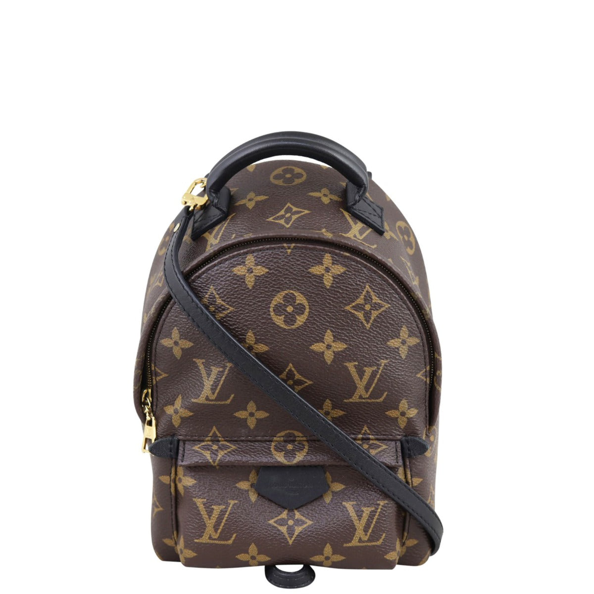 Louis Vuitton Palm Springs Mini Backpack Monogram Front
