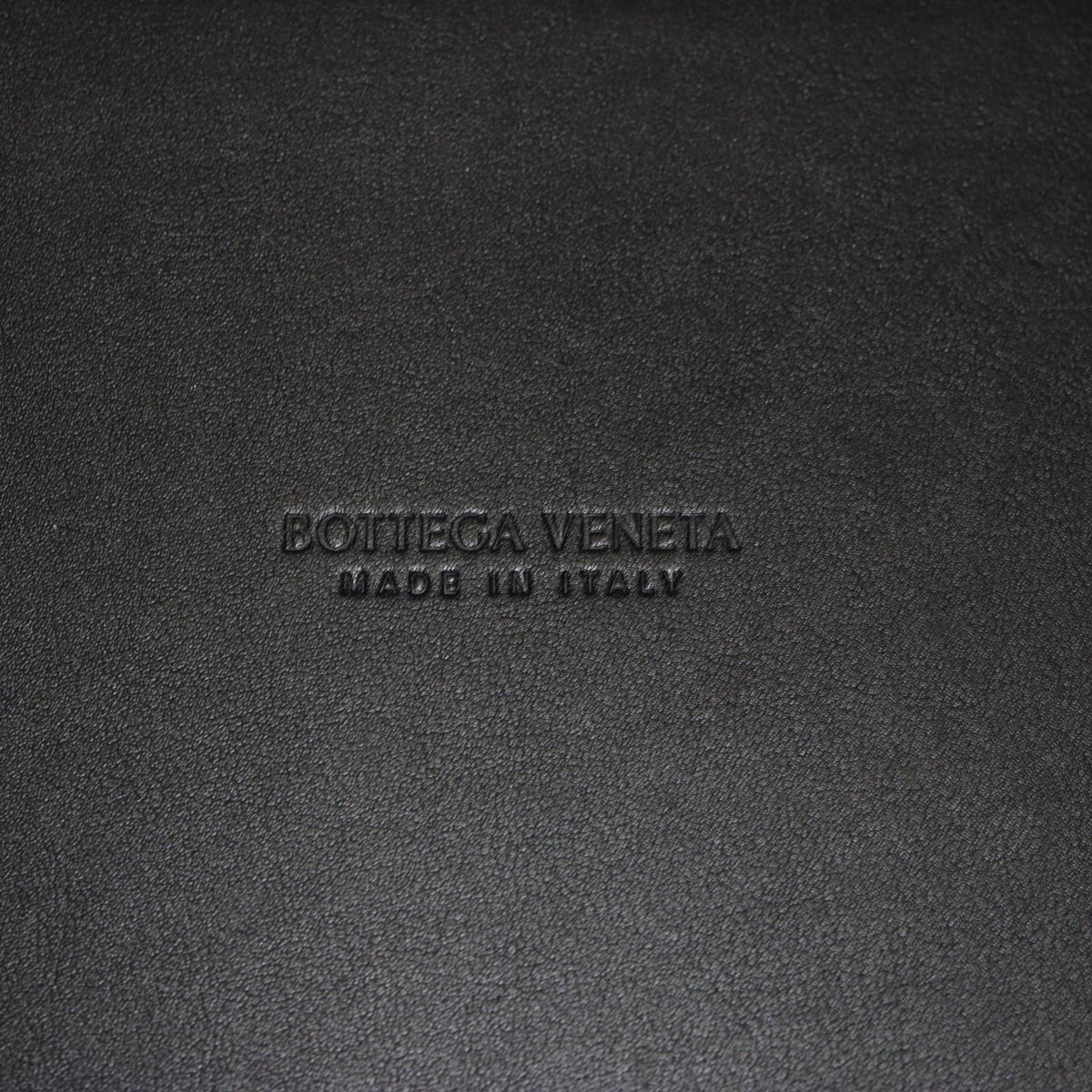 Bottega Veneta Andiamo Large_IMG_0927.jpg